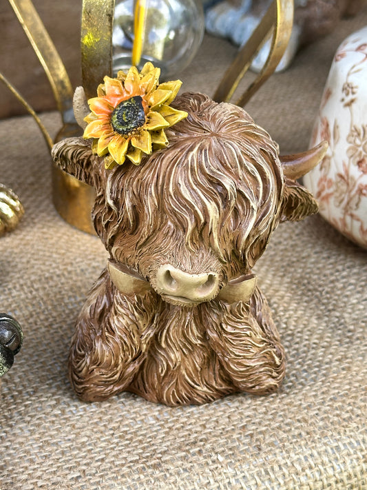 Sunflower 🌻 Highland Cow