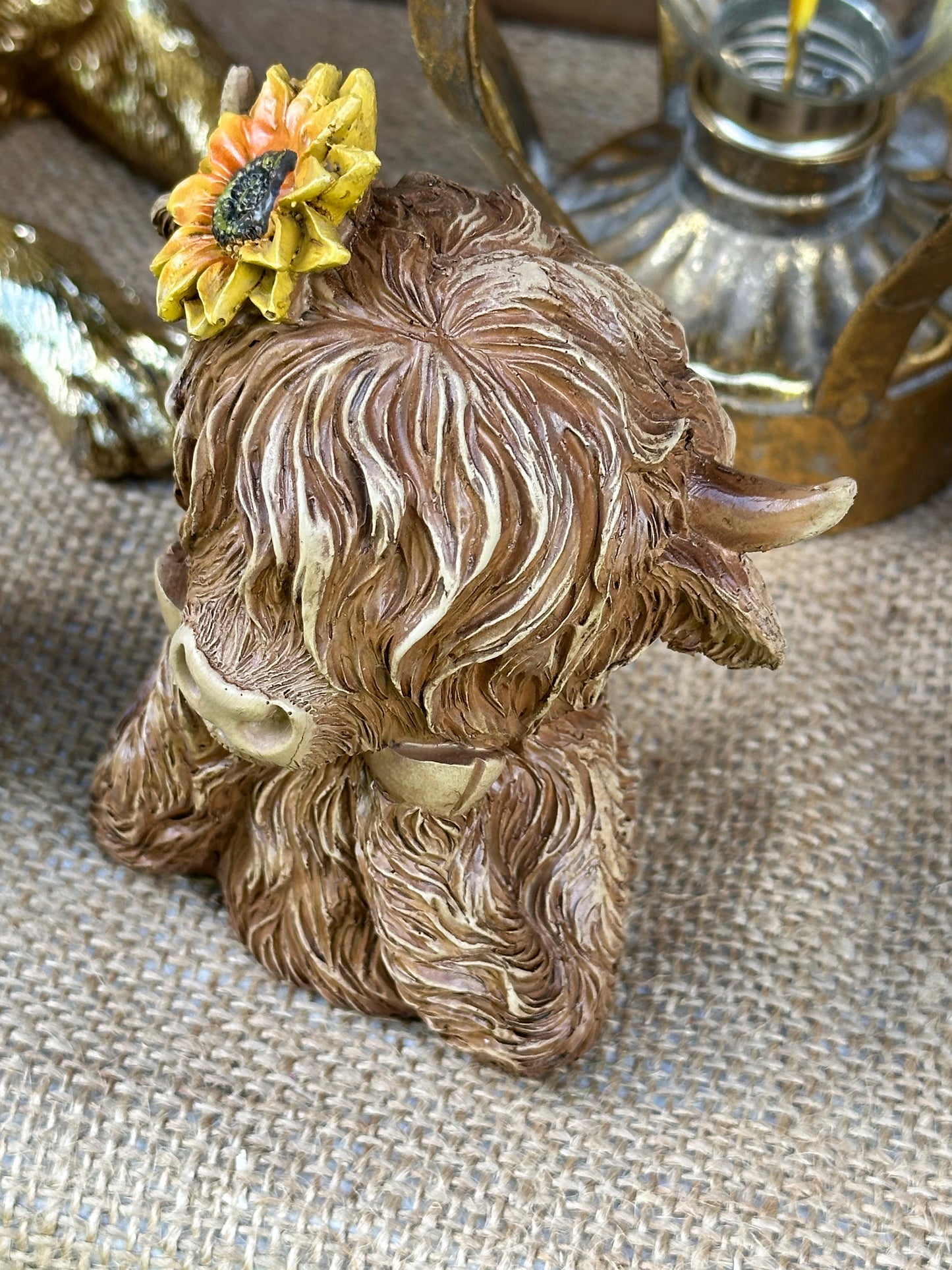 Sunflower 🌻 Highland Cow