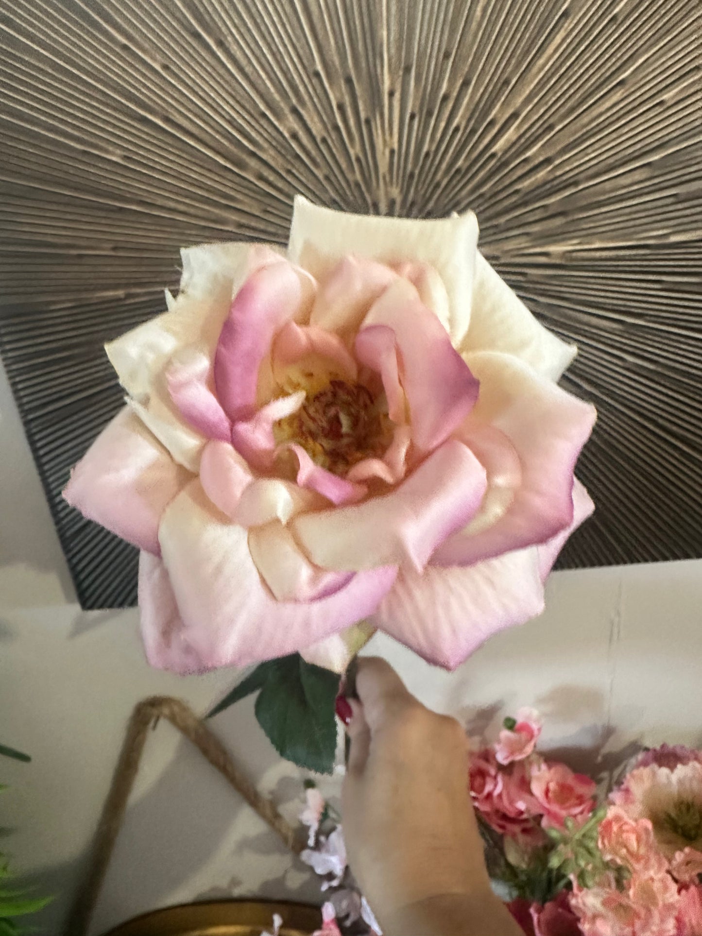 Hallie Rose Cream Pink