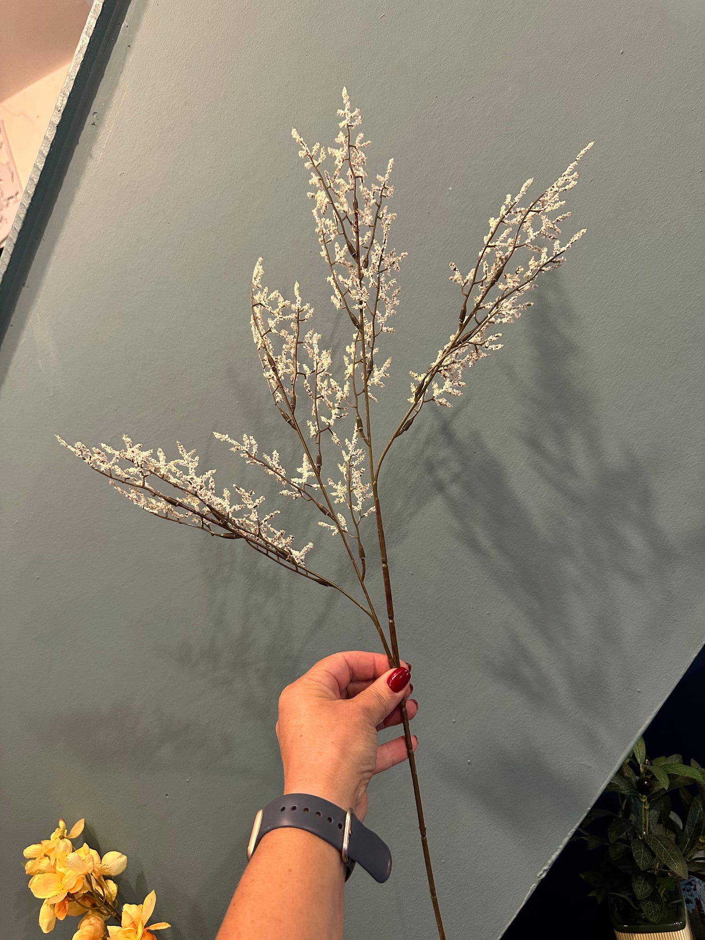 Limonium Spray