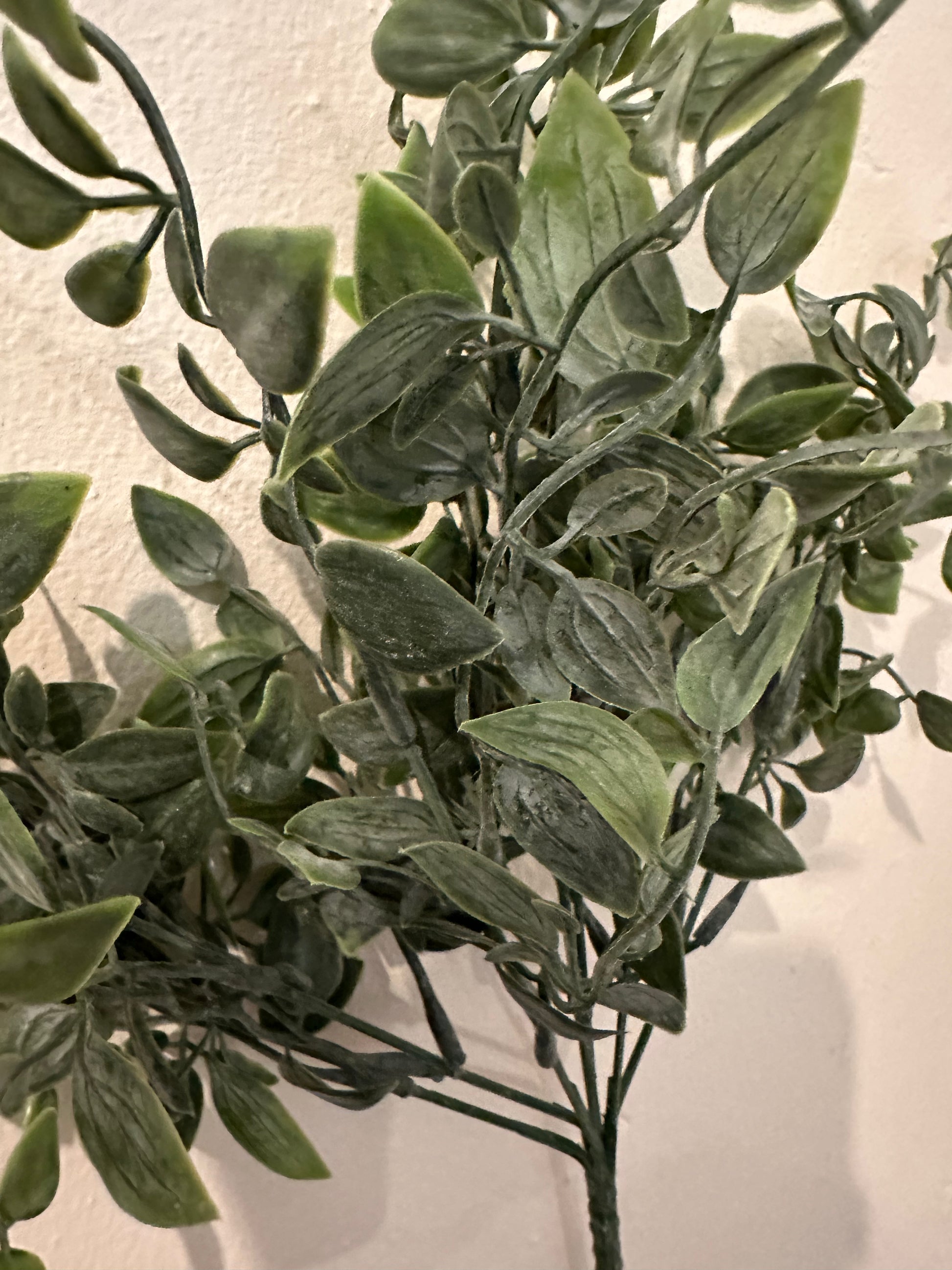 Ruscus Fillers Faux Ruscus Filler Stem – Inspirational Home & Gifts